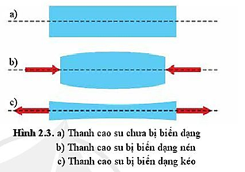 Thảo luận về kết quả (hình dạng, kích thước) của biến dạng kéo và biến dạng nén ở hình 2.3b và 2.3c. (ảnh 1)