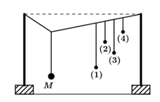 Thực hiện thí nghiệm về dao động cưỡng bức như hình bên. Năm con lắc đơn: (1), (2), (3), (4) và M (con lắc điều khiển) được treo trên một sợi dây. Ban