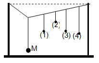 Thực hiện thí nghiệm về dao động cưỡng bức như hình bên dưới. Năm con lắc đơn: (1), (2), (3),(4) và M (con lắc điều khiển) được treo trên một sợi dây.