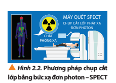 Trả lời:

Một số ví dụ về ứng dụng của vật lí hạt nhân

- Khai thác năng lượng của quá trình phân rã hạt nhân trong các lò phản ứng hạt nhân để sản xuất điện.

- Trong y học những kiến thức về vật lí hạt nhân đang được ứng dụng rộng rãi trong công nghệ chuẩn đoán và điều trị bệnh, đặc biệt là bệnh ung thư. Ví dụ hiệu ứng Hủy cặp electron - positron được ứng dụng trong máy “chụp cắt lớp phát xạ positron” (PET); hiện tượng phân rã gamma được ứng dụng trong máy “chụp cắt lớp bằng bức xạ đơn photon” (SPECT) như (Hình 2.2).

 - Sử dụng các loại tia phóng xạ trong trị xạ ung thư được sử dụng chùm beta (electron) hoặc tia X bức xạ hãm trong máy gia tốc tuyến tính để điều trị ung thư tại các bệnh viện ở Việt Nam (Hình 2.3).

   - Hiện nay kĩ thuật tiên tiến nhất trong xạ trị ung thư có thể tiêu diệt được các tế bào ung thư tại những vị trí khó như não mà ít để lại biến chứng nhất là máy xạ trị proton (Hình 2.4).

 - Trong nông nghiệp chiếu xạ hạt giống để cải tạo giống cây trồng.

- Trong công nghiệp sử dụng chiếu xạ hạt nhân để kiểm định chất lượng sản phẩm, kiểm tra mối hàn, đo mật độ mà không phá hủy mẫu vật.

- Trong thực phẩm: Chiếu xạ để diệt vi sinh vật, phá hủy cấu trúc DNA (Deoxyribo Nucleic Acid) giúp trái cây được bảo quản lâu hơn ở điều kiện thường.