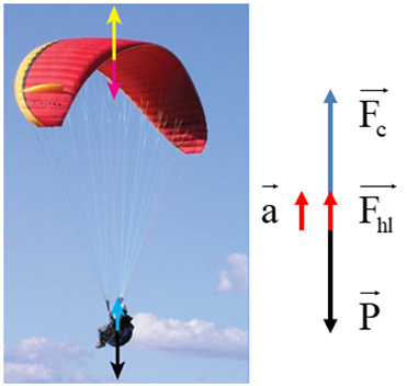 + Khi chưa bung dù, người chịu tác dụng của trọng lực (mũi tên màu hồng) và lực cản không khí (mũi tên màu vàng). Người vẫn rơi xuống nên hợp lực cùng hướng với trọng lực và có độ lớn bằng hiệu độ lớn của trọng lực và độ lớn của lực cản không khí.

+ Khi bung dù, hệ người và dù chịu tác dụng của trọng lực (người và dù đều chịu tác dụng của trọng lực được biểu diễn bằng mũi tên màu hồng và màu đen), lực cản không khí tác dụng lên người và dù (được biểu diễn bằng mũi tên màu vàng và màu xanh). Khi đó, độ lớn của lực cản của không khí lớn hơn trọng lượng của người và dù nên hợp lực có cùng hướng với lực cản, gia tốc hướng lên ngược chiều chuyển động làm người rơi chậm dần.