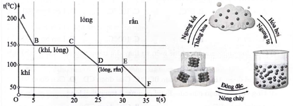 a) Các quá trình, giai đoạn của chuyển đổi trạng thái của vật được mô tả như sau:   • AB: là độ giảm nhiệt độ của vật ở thể khí.

• BC: là sự chuyển trạng thái từ khí sang lỏng ở nhiệt độ không đổi (quá trình ngưng tụ).

• CD: là độ giảm nhiệt độ ở thể lỏng.

• DE: là sự chuyển từ thể lỏng sang thể rắn ở nhiệt độ không đổi (quá trình đông đặc).

• EF: là độ giảm nhiệt độ ở rắn.  b) Điểm sôi của chất là 150 °C (vì phần BC biểu thị sự ngưng tụ trong đó hơi chuyển thành chất lỏng mà không thay đổi nhiệt độ).

c) Vùng DE biểu thị sự đông đặc của chất trong đó chất lỏng chuyển thành chất rắn ở nhiệt độ không đổi là 100 °C.

d) Nhiệt độ nóng chảy của chất là 100 °C.