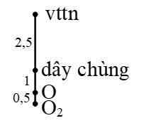 Cho cơ hệ như hình vẽ: hòn bi có kích thước rất nhỏ nặng m=150 g treo vào đầu một sợi dây đàn hồi có chiều dài tự nhiên l=20 cm, có hệ số đàn hồi  (ảnh 1)