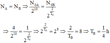 Lúc đầu: 

Sau thời gian 2h, số hạt nhân còn lại của hai chất: 

Mà:
