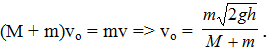 + Vận tốc của vật m khi va chạm vào vật M: 

+ Độ lơn vận tốc vo của hệ hai vật sau va chạm: 

+ Khi đó, vị trí của hai vật cách vị trí cân bằng của hệ:

+ Biên độ dao động của hệ: 

+ Phương trình dao động của hệ hai vật: x = Acos(20t + φ).

Khi t = 0: x = xo = A/2 => cosφ = 0,5 => φ =  π/3   rad (do v o < 0).

Vậy: x = 2cos(20t +  π/3 ) cm.