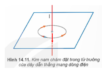 Dựa vào màu sắc của kim nam châm xác định được chiều của đường sức từ xuất phát từ cực bắc (màu đỏ) đi vào cực nam (màu xanh). Sau đó sử dụng quy tắc nắm bàn tay phải xác định được chiều dòng điện từ trên xuống dưới (khum bàn tay phải theo hướng đường sức từ, choãi ngón tay cái 900 chỉ chiều dòng điện.)