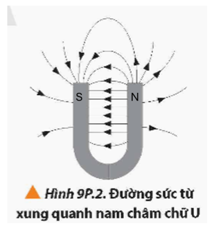 Dựa vào chiều đường sức từ, xác định được cực bên phải là cực bắc (N), cực bên trái là cực nam (S).