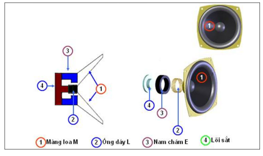 Ngoài ra, loa điện động còn bao gồm một số thành phần khác như:

- Màng nhện  (spider) có tác dụng giữ cho lõi cuộn âm cố định được vị trí, vì khi dòng điện xoay chiều chạy qua cuộn âm sẽ tạo ra lực từ trường chuyển động, giúp tạo nên một lực hướng trục đẩy cuộn âm ra hoặc vào, kéo theo là chuyển động của màng loa.

- Khung cho loa  (basket hoặc frame), thường được làm bằng kim loại đúc hoặc hàn, là nơi cố định toàn bộ các bộ phận của loa.

- Viền loa  (surround) bao phủ bề ngoài của khung và màng loa, giúp giữ cho màng nón loa nằm yên vị trí vào khung trong khi vẫn rung theo từng chuyển động của cuộn âm.

- Khoảng lệch  (excursion) là khoảng cách tối đa cho màng nón loa chuyển động ra/vào.

Nguyên lý hoạt động của loa điện động

Vì nguyên tắc hoạt động của loại loa này là  kỹ thuật điện cơ , nên sẽ có một cuộn dây được gắn với các màng loa đặt trong khe hẹp có từ trường. Khi dòng điện đi qua, cuộn dây sẽ rung và làm chuyển động màng loa giúp truyền ra không khí, tác động vào người nghe.