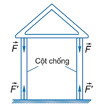    a) Cột chịu lực trong tòa nhà chịu tác dụng của cặp lực nén ngược chiều nhau, vuông góc với bề mặt của cột và hướng vào phía trong cột     Đây là biến dạng nén.

b) Cánh cung khi kéo dây cung chịu tác dụng của cặp lực kéo ngược chiều nhau, vuông góc với bề mặt của cánh cung và hướng ra phía ngoài cánh cung      Đây là biến dạng kéo.