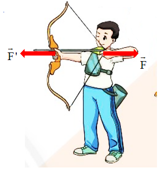    a) Cột chịu lực trong tòa nhà chịu tác dụng của cặp lực nén ngược chiều nhau, vuông góc với bề mặt của cột và hướng vào phía trong cột     Đây là biến dạng nén.

b) Cánh cung khi kéo dây cung chịu tác dụng của cặp lực kéo ngược chiều nhau, vuông góc với bề mặt của cánh cung và hướng ra phía ngoài cánh cung      Đây là biến dạng kéo.