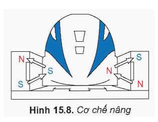 Nguyên tắc hoạt động của La bàn

Trái Đất của chúng ta có bản chất là một nam châm khổng lồ, giống như các nam châm thẳng khác có cực Bắc và cực Nam. Bao quanh Trái Đất là các đường sức từ trường định hướng theo quy tắc có chiều đi ra từ cực Bắc và đi vào từ cực Nam.

Khi ta sử dụng la bàn, kim nam châm của la bàn sẽ nằm dọc theo đường sức từ trường của Trái Đất và luôn định hướng theo một hướng cố định. Người ta quy ước hướng chỉ kim nam châm của la bàn hướng về cực Bắc của Trái Đất là hướng Bắc ngược lại là hướng Nam.

• Ứng dụng của nam châm trong cuộc sống như tàu đệm từ

Tàu đệm từ là một phương tiện giao thông chạy trên đệm từ trường, tàu vận hành rất êm, không rung lắc và không gây ra nhiều tiếng ồn như tàu truyền thống. Tàu sử dụng cơ chế nâng, đẩy và dẫn lái để khi di chuyển với tốc độ cao mà tàu không bị bay ra khỏi bề mặt đường ray. Cơ chế đẩy: Khi từ trường của các nam châm điện đặt ở hai bên thành đường ray tương tác với từ trường của nam châm siêu dẫn đặt trên thành tàu sẽ sinh ra lực đẩy tàu hướng về phía trước (Hình 15.7).

Cơ chế nâng: Cơ chế này tương tự như cơ chế đấy nhưng với mục đích nâng tàu lên. Bánh xe sẽ được nâng lên khi tàu đạt tới tốc độ tới hạn. Ở tốc độ tới hạn, lực từ lúc này đủ lớn để nâng tàu lướt trên đường ray (Hình 15.8). Hệ thống dẫn lái: Bằng cách sử dụng tính chất của nam châm, cùng cực thì đẩy nhau, khác cực thì hút nhau, hệ thống lái có nhiệm vụ giúp tàu cân bằng, ổn định tàu với đường ray khi di chuyển.