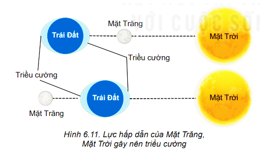 Khi Mặt Trời, Trái Đất và Mặt Trăng thẳng hàng, tổng hợp lực hấp dẫn do Mặt Trăng và Mặt Trời tác dụng lên Trái Đất và lớp nước bao xung quanh là lớn hơn, do đó sẽ xảy ra triều cường.