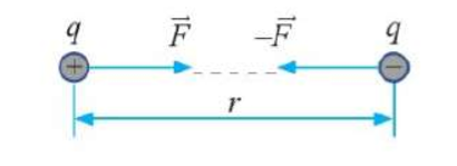 Hình vẽ lực tương tác giữa hai điện tích trái dấu: