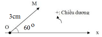  

Dao động điều hòa  được biểu diễn bằng vectơ quay 

   + Có gốc tại O.

   + Có độ dài là biên độ dao động 3cm hợp với trục Ox một góc 60o chính là pha ban đầu của dao động.