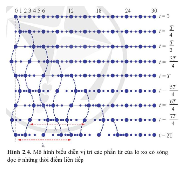 Hãy chỉ ra hướng chuyển động của phần tử số 6 ở thời điểm T/4, phần tử số 12 ở thời điểm 5T/4. (ảnh 1)