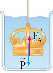 Biểu diễn vectơ lực đẩy  Ac-si-mét  và trọng lực tác dụng lên vật.