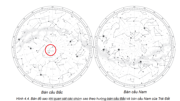 Chòm sao Gấu Bé được khoanh tròn đỏ như hình: