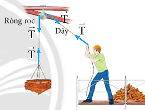 Hình 11.13 mô tả quá trình kéo gạch từ thấp lên cao qua hệ thống ròng rọc. Xem chuyển động của thùng gạch là đều, hãy xác định lực căng dây tác dụng lên vật nâng và ròng rọc bằng hình vẽ. Từ đó hãy chỉ ra điểm đặt, phương, chiều và độ lớn của lực căng dây. Biết lượng gạch trong mỗi lần kéo có khối lượng 20 kg và lấy g = 9,8 m/s2. (ảnh 2)