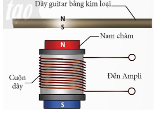 Khi gảy đàn, đoạn dây gần nam châm bị nhiễm từ dao động và tạo ra sự biến thiên từ thông qua cuộn dây của bộ cảm ứng, từ đó tạo ra một suất điện động cảm ứng. Tín hiệu điện được đưa đến một bộ khuếch đại và loa, tạo ra sóng âm thanh mà chúng ta nghe được.