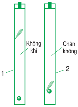 - Bước 1: Quan sát, suy luận

Từ quan sát thu được: Ở cùng một độ cao một hòn đá sẽ rơi nhanh xuống đất hơn một chiếc lá.

Bước 2: Đề xuất vấn đề

Câu hỏi đặt ra từ việc quan sát trên: Nguyên nhân gây ra hiện tượng trên có phải là do trọng lực mà Trái Đất tác dụng lên hòn đá lớn hơn trọng lực mà Trái Đất tác dụng lên chiếc lá.

- Bước 3: Hình thành giả thuyết

Giả thuyết đưa ra: Các vật có hình dạng khác nhau rơi trong không khí sẽ chịu độ lớn của lực cản không khí khác nhau. Nếu loại bỏ được lực cản đó, thì chúng sẽ rơi nhanh như nhau.

- Bước 4: Kiểm tra giả thuyết

Các nhà khoa học đã kiểm tra giả thuyết bằng việc thực hiện các thí nghiệm.

+ Nhà Vật lí người Anh Newton làm thí nghiệm với một ống thủy tinh kín trong có chứa một hòn bi chì và một cái lông chim như sau: Cho hai vật nói trên rơi ở trong ống còn đầy không khí thì hòn bi chì rơi nhanh hơn cái lông chim. Hút hết không khí ở trong ống ra, rồi cho hai vật nói trên rơi ở trong ống thì thấy chúng rơi nhanh như nhau.

+ Nhà Vật lí người I-ta-li-a Galilei đã làm thí nghiệm sau: Ông thả những quả tạ nặng khác nhau rơi đồng thời từ tầng cao của tòa tháp nghiêng Pi-da và nhận thấy chúng rơi đến mặt đất gần như cùng một lúc. (có thể bỏ qua sức cản của không khí trong trường hợp này vì trọng lượng của các quả tạ nặng rất lớn so với sức cản của không khí tác dụng lên chúng).

- Bước 5: Rút ra kết luận

Kết luận: Nếu loại bỏ được ảnh hưởng của không khí thì mọi vật sẽ rơi nhanh như nhau.