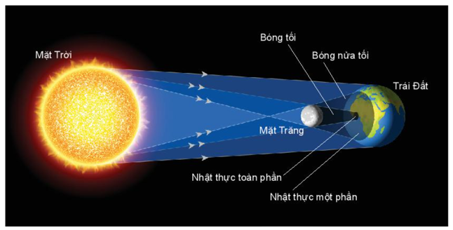 - Hiện tượng nhật thực: Mặt Trời, Mặt Trăng, Trái Đất thẳng hàng nhau và xếtheo thứ tự trên, xảy ra vào ban ngày khi Mặt Trăng che khuất Mặt Trời một phần hoặc toàn phần thì khi đó trên Trái Đất sẽ có vùng không thấy được Mặt Trời. Đó là nhật thực một phần hoặc nhật thực toàn phần.

 - Hiện tượng nguyệt thực: Mặt Trăng, Trái Đất, Mặt Trời thẳng hàng và xếthứ tự trên, xảy ra vào buổi tối, khi Trái Đất che khuất Mặt Trời, Mặt Trăng khi đó không nhận được ánh sáng từ Mặt Trời chiếu đến nên không có ánh sáng phản xạ từ Mặt Trăng chiếu đến Trái Đất, khi đó trên Trái Đất có nơi sẽ không quan sát được Mặt Trăng.

- Hiện tượng thủy triều: do Mặt Trăng chuyển động xung quanh Trái Đất, Mặt Trăng tác dụng lực hấp dẫn lên lớp nước biển trên bề mặt Trái Đất đồng thời Trái Đất lại tự quay nên lớp nước biển sẽ có thời điểm bị dâng lên cao, đó chính là thủy triều.

- Chúng ta có dự đoán được thời điểm xảy ra các hiện tượng.