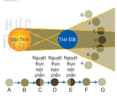 - Hiện tượng nhật thực: Mặt Trời, Mặt Trăng, Trái Đất thẳng hàng nhau và xếtheo thứ tự trên, xảy ra vào ban ngày khi Mặt Trăng che khuất Mặt Trời một phần hoặc toàn phần thì khi đó trên Trái Đất sẽ có vùng không thấy được Mặt Trời. Đó là nhật thực một phần hoặc nhật thực toàn phần.

 - Hiện tượng nguyệt thực: Mặt Trăng, Trái Đất, Mặt Trời thẳng hàng và xếthứ tự trên, xảy ra vào buổi tối, khi Trái Đất che khuất Mặt Trời, Mặt Trăng khi đó không nhận được ánh sáng từ Mặt Trời chiếu đến nên không có ánh sáng phản xạ từ Mặt Trăng chiếu đến Trái Đất, khi đó trên Trái Đất có nơi sẽ không quan sát được Mặt Trăng.

- Hiện tượng thủy triều: do Mặt Trăng chuyển động xung quanh Trái Đất, Mặt Trăng tác dụng lực hấp dẫn lên lớp nước biển trên bề mặt Trái Đất đồng thời Trái Đất lại tự quay nên lớp nước biển sẽ có thời điểm bị dâng lên cao, đó chính là thủy triều.

- Chúng ta có dự đoán được thời điểm xảy ra các hiện tượng.