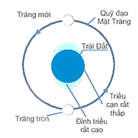 - Hiện tượng nhật thực: Mặt Trời, Mặt Trăng, Trái Đất thẳng hàng nhau và xếtheo thứ tự trên, xảy ra vào ban ngày khi Mặt Trăng che khuất Mặt Trời một phần hoặc toàn phần thì khi đó trên Trái Đất sẽ có vùng không thấy được Mặt Trời. Đó là nhật thực một phần hoặc nhật thực toàn phần.

 - Hiện tượng nguyệt thực: Mặt Trăng, Trái Đất, Mặt Trời thẳng hàng và xếthứ tự trên, xảy ra vào buổi tối, khi Trái Đất che khuất Mặt Trời, Mặt Trăng khi đó không nhận được ánh sáng từ Mặt Trời chiếu đến nên không có ánh sáng phản xạ từ Mặt Trăng chiếu đến Trái Đất, khi đó trên Trái Đất có nơi sẽ không quan sát được Mặt Trăng.

- Hiện tượng thủy triều: do Mặt Trăng chuyển động xung quanh Trái Đất, Mặt Trăng tác dụng lực hấp dẫn lên lớp nước biển trên bề mặt Trái Đất đồng thời Trái Đất lại tự quay nên lớp nước biển sẽ có thời điểm bị dâng lên cao, đó chính là thủy triều.

- Chúng ta có dự đoán được thời điểm xảy ra các hiện tượng.