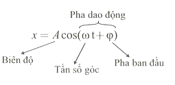 Các đại lượng trong phương trình dao động điều hòa: