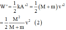 + Áp dụng định luật bảo toàn động lượng, ta có:

 (với v và v’ là vận tốc cực đại của hệ lúc đầu và lúc sau)

+ Ban đầu, cơ năng của hệ:  

+ Lúc sau, cơ năng của hệ:

 

+ Lập tỉ số (2) và (1) ta thu được kết quả: 