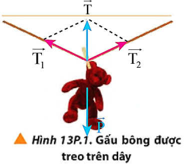 Một gấu bông được phơi trên dây treo nhẹ như Hình 13P.1.a) Xác định các lực tác dụng lên gấu bông. b) Vẽ hình để xác định lực tổng hợp của các lực do dây treo tác dụng lên gấu bông. c) Em có thể dựa vào lập luận mà không cần vẽ hình để xác định lực tổng hợp của các dây treo được không? Giải thích. (ảnh 1)