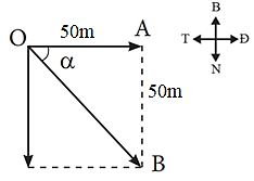 Một người bơi ngang từ bờ bên này sang bờ bên kia của một dòng sông rộng 50 m có dòng chảy theo hướng từ Bắc xuống Nam. Do nước sông chảy mạnh nên khi sang đến bờ bên kia thì người đó đã trôi xuôi theo dòng nước 50 m. Xác định độ dịch chuyển của người đó. (ảnh 1)