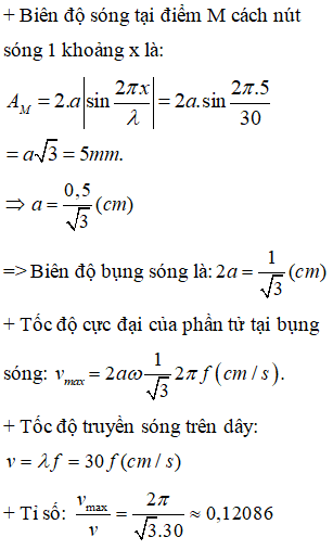 + Các điểm thuộc cùng một bó sóng dao động cùng pha nhau, các điểm thuộc bó sóng lẻ dao động ngược pha với các điểm thuộc bó sóng chẵn.

+ Khoảng cách xa nhất giữa hai phần tử dây dao động cùng biên độ 5 mm ở hai bó sóng ngoài cùng (cùng cách mỗi đầu cố định một khoảng x) là: MN=80cm

+ Khoảng cách xa nhất giữa hai phần tử dây dao động cùng pha cùng biên độ 5 mm là: MP=65cm