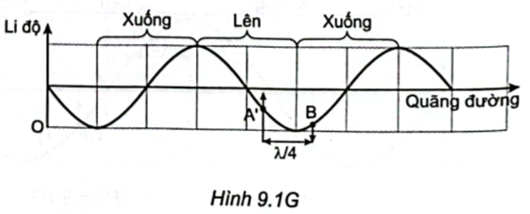 Sử dụng đồ thị li độ quãng đường Hình 9.1G của sóng quy ước chiều truyền dương để xác định các vùng mà các phần tử vật chất đang đi lên và đi xuống.   Ta có: \(\lambda = \frac{v}{f} = \frac{{60}}{{100}} = 0,6{\rm{\;m}};AB = 7,95{\rm{\;m}} = 7,8 + 0,15 = 13 \cdot 0,6 + 0,15 = 13\lambda + \frac{\lambda }{4}\) .

Từ Hình 9.1G. Ta thấy B có li độ âm và đang đi xuống.