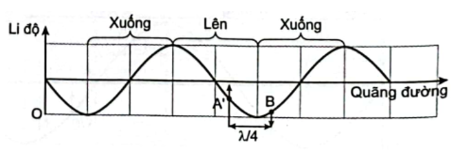 Một sóng ngang có tần số 110Hz truyền trên một sợi dây nằm ngang với tốc độ 60m/s, qua điểm A rồi đến điểm B cách nhau 7,95m. Tại một thời điểm nào đó A có li độ âm và đang chuyển động đi lên thì điểm B đang có li độ  A. âm và đang đi xuống.  B. âm và đang đi lên.  C. dương và đang đi lên.  D. dương và đang đi xuống (ảnh 1)