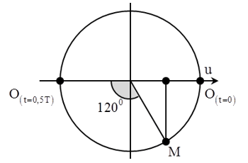 - Ta có hình vẽ:

- Độ lệch pha giữa O và M:

- Tại t = 0, O đang ở vị trí biên dương → tại t = 0,5T, O đang ở vị trí biên âm.

- Từ hình vẽ ta thấy rằng A = 10 cm.