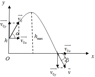 Lời giải

a. ệ quy chiếu Oxy như hình vẽ, gốc thời gian là lúc khảo sát vật.

Chiếu lên trục ox có:

\[\left\{ \begin{array}{l}\begin{array}{*{20}{c}}{{x_0} = 0\,\,\,\,\,\,\,\,\,\,\,\,\,\,\,\,\,\,\,\,\,\,\,\,\,\,\,\,\,\,\,\,\,\,\,\,\,\,\,\,\,\,\,\,\,\,\,\,\,\,\,\,\,\,\,\,\,\,\,\,\,\,\,\,\,\,\,\,\,\,\,\,\,\,\,\,\,\,}\\\begin{array}{l}{v_{0x}} = {v_0}.cos\alpha = 20.cos{45^0} = 10\sqrt 2 \left( {m/s} \right)\\{a_x} = 0\end{array}\end{array}\\{v_x} = 10\sqrt 2 \left( {m/s} \right)\end{array} \right.\]

\( \Rightarrow x = 10\sqrt 2 .t\,\,(m)\)

Chiếu lên trục oy có:

\[\left\{ \begin{array}{l}\begin{array}{*{20}{c}}{{y_0} = 0\,\,\,\,\,\,\,\,\,\,\,\,\,\,\,\,\,\,\,\,\,\,\,\,\,\,\,\,\,\,\,\,\,\,\,\,\,\,\,\,\,\,\,\,\,\,\,\,\,\,\,\,\,\,\,\,\,\,\,\,\,\,\,\,\,\,\,\,\,\,\,\,\,\,\,\,\,\,\,}\\\begin{array}{l}{v_{0y}} = {v_0}.\sin \alpha = 20.\sin {45^0} = 10\sqrt 2 \left( {m/s} \right)\\{a_y} = - g = - 10\,m/{s^2}\end{array}\end{array}\\{v_y} = 10\sqrt 2 - 10t\end{array} \right.\]

\( \Rightarrow y = 45 + 10\sqrt 2 t - 5{t^2}\,\,(m)\)

Phương trình quỹ đạo của vật là:  \(y = 45 + x - \frac{{{x^2}}}{{40}}\)

\( \Rightarrow \)  Vật có quỹ đạo là một Parabol

Khi lên đến độ cao max thì: 

v­y = 0  \( \Rightarrow 10\sqrt 2 - 10t = 0 \Rightarrow t = \sqrt 2 \,(s)\)

Độ cao vật đạt được là:  \(H = 45 + 10\sqrt 2 .\sqrt 2 - 5.{\left( {\sqrt 2 } \right)^2} = 55\,\,(m)\)

Khi vật chạm đất thì y = 0

\( \Rightarrow 45 + 10\sqrt 2 t - 5{t^2} = 0\,\, \Rightarrow t = 4,73\,s\)

Vậy sau 4,73s thì vật chạm đất

b. Tầm xa của vật: L = x =   \(10\sqrt 2 .4,73 = 66,89\,(m)\)

Vận tốc vật khi chạm đất:

\(v = \sqrt {v_x^2 + v_y^2} = \sqrt {{{\left( {10\sqrt 2 } \right)}^2} + {{\left( {10\sqrt 2 - 10.4,73} \right)}^2}} = 36,05\,(m/s)\)

 c. Khi vật có độ cao 50 m thì

\(45 + 10\sqrt 2 t - 5{t^2} = 50\)

\( \Rightarrow \left[ {\begin{array}{*{20}{c}}{{t_1} = 0,414\,(s) \Rightarrow {v_{y1}} = 10\sqrt 2 - 10.0,414 \approx 10m/s}\\{{t_2} = 2,414\,(s) \Rightarrow {v_{y2}} = 10\sqrt 2 - 10.2,414 \approx - 10m/s}\end{array}} \right.\)

Tại t1 vật đang đi lên, t2 vật đang đi xuống.