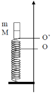 + Vận tốc của hai vật sau va chạm: (M + m)V = mv

+ Tọa độ ban đầu của hệ hai vật: