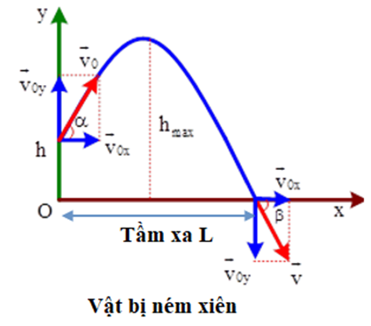 Nếu ném vật theo phương ngang thì tầm xa của vật không lớn nhất. Vật bị ném xiên từ dưới lên mới có tầm xa lớn nhất.   Giả thuyết về điều kiện ném vật để đạt tầm xa (hoặc độ cao) lớn nhất là: Độ cao và tầm xa của vật bị ném phụ thuộc vào góc giữa vận tốc ban đầu và phương nằm ngang