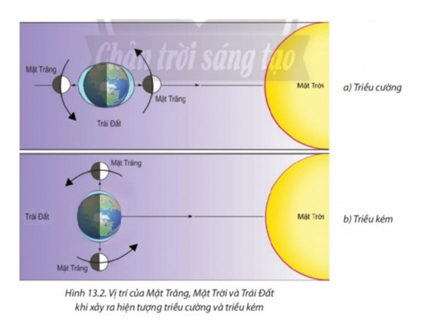 Trả lời:

Khi triều cường, Mặt Trời, Mặt Trăng và Trái Đất thẳng hàng với nhau, Mặt Trăng ở giữa Mặt Trời và Trái Đất.

Khi triều thấp thì Mặt Trời, Mặt Trăng và Trái Đất tạo thành tam giác vuông, Trái Đất là vị trí góc vuông.