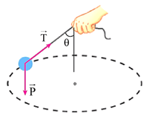 Lời giải

Dựa vào hình vẽ ta xác định được: \[T\cos \theta = mg\]

\[ \Rightarrow T = \frac{{\left( {0,200kg} \right)\left( {9,81\frac{m}{{{s^2}}}} \right)}}{{\cos 56^\circ }} = 3,5N\]