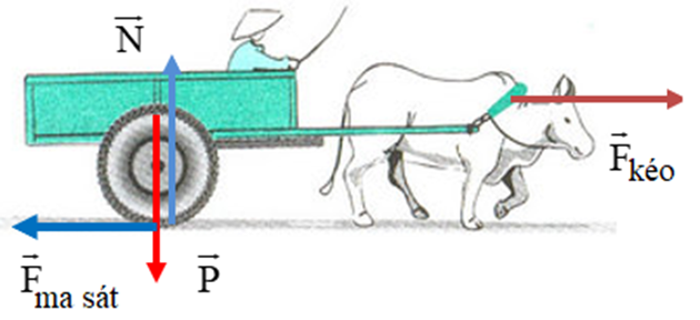 Ví dụ một con bò kéo một chiếc xe chuyển động trên đường, khi đó chiếc xe chịu tác dụng của các lực:

+ Lực kéo của con bò tác dụng lên xe

+ Trọng lực (bản thân mỗi vật có khối lượng đều chịu tác dụng của trọng lực)

+ Phản lực của mặt đường lên chiếc xe

+ Lực ma sát giữa bánh xe với mặt đường.