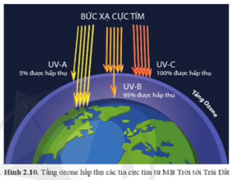 - Tầng ozone là một lớp khí quyển trong tầng bình lưu, có nồng độ O3 cao (so với mức trung bình trong khí quyển), hấp thụ hầu hết bức xạ cực tím có hại cho sự sống.

Quan sát hình 2.10:

+ Với tia UV-A có khả năng hấp thụ ở tầng ozone là 5% vì có bước sóng từ 315 nm – 400 nm.

+ Với tia UV-B có khả năng hấp thụ ở tầng ozone là 95% vì có bước sóng từ 280 nm – 315 nm.

+ Với tia UV-C có khả năng hấp thụ ở tầng ozone là 100% vì có bước sóng từ 100 nm – 280 nm.

- “Lỗ thủng” ozone được hiểu giống một chỗ lõm  hơn, kiểu như "một lỗ thủng trên kính chắn gió". Ozone không biến mất, cũng như không có sự "mỏng" đồng đều của tầng ozon. Lỗ thủng tầng ozon được coi là "vấn đề nóng" và nguy cơ sắp xảy ra.

- Suy giảm tầng ozone bao gồm hai sự kiện liên quan được quan sát thấy kể từ cuối những năm 1970: sự giảm đều đặn khoảng 4% tổng lượng  ozon e trong bầu   khí quyển  của  Trái Đất   (tầng ozon e) và sự sụt giảm lớn hơn nhiều vào mùa xuân của   ozone tầng bình lưu  xung quanh các vùng cực của Trái Đất. Hiện tượng sụt giảm ozone tại các vùng cực được gọi là lỗ thủng ozone .