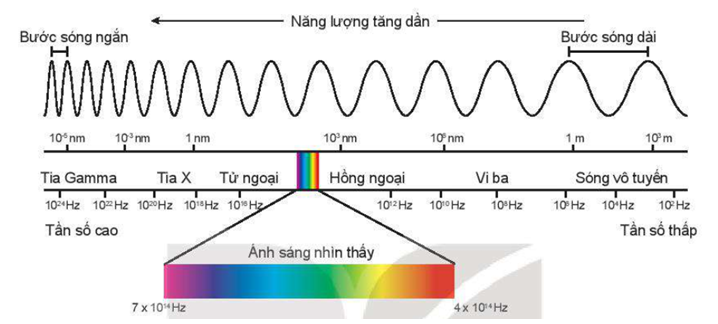  

Tần số của ánh sáng đỏ (4.104 Hz) nhỏ hơn tần số của ánh sáng tím (7.104 Hz).