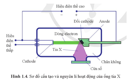 Ống tia X có cấu tạo gồm một ống chân không, trong ống có hai điện cực. Cực âm (cathode) là dây điện trở được đốt nóng để phát các electron. Đối diện với cực âm là cực dương (anode), ở cực dương có đối cathode được làm bằng kim loại có nguyên tử lượng lớn và nhiệt độ nóng chảy cao như tungsten.

Hiệu điện thế giữa anode và cathode có thể lên đến hàng trăm kilôvôn. Dưới tác dụng của hiệu điện thế này, chùm electron phát ra từ cathode dược tăng tốc và có động năng rất lớn. Khi đập vào đối cathode, các electron có tốc độ cao này bị giảm tốc đột ngột sẽ làm phát ra các tia X theo mọi hướng. Một phần tia X đi qua cửa sổ của ống tia X ra không gian bên ngoài ống.