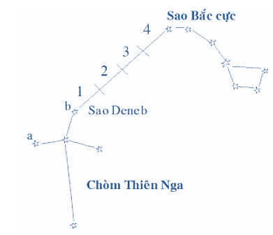 Xác định sao Bắc Cực thông qua chòm sao Thiên Nga (Cygnus)

Kéo dài cạnh ab (nối từ cánh phải tới đuôi của thiên nga) khoảng 4 đoạn bằng ab sẽ gặp sao Bắc Cực.