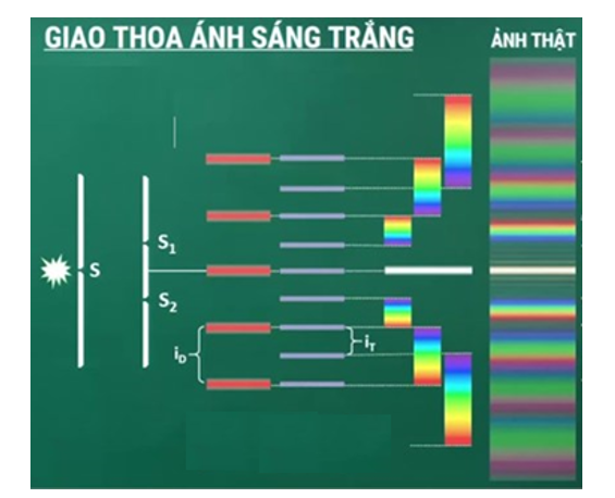 Khi sử dụng nguồn ánh sáng trắng thì trên màn quan sát ta sẽ thấy được ở vân chính giữa là vân sáng màu trắng, trải dài về hai phía là các dải màu biến thiên liên tục từ tím đến đỏ (tím gần vân sáng trung tâm hơn, đỏ xa vân sáng trung tâm hơn).