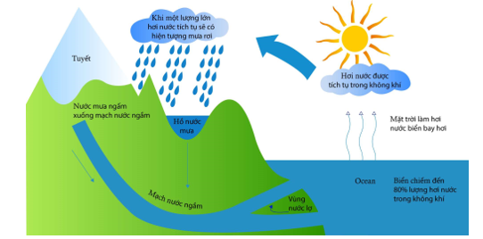 Vòng tuần hoàn của nước: nhờ có vòng tuần hoàn của nước mà con người có nguồn nước để sinh hoạt, trồng trọt, phát triển giao thông đường thuỷ…