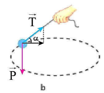 Tìm thêm ví dụ về lực hướng tâm. (ảnh 2)