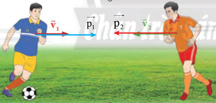 Trong một trận bóng đá, cầu thủ A có khối lượng 78 kg chạy dẫn bóng với tốc độ 8,5 m/s. Trong khi đó, cầu thủ B có khối lượng 82 kg (ở đội đối phương) cũng chạy đến tranh bóng với tốc độ 9,2 m/s theo hướng ngược với hướng của cầu thủ A (Hình 18.4). Hãy xác định: (ảnh 2)
