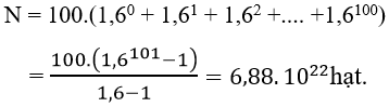 - Phản ứng thứ nhất có 100 hạt nhân U235 bị phân rã, phản ứng thứ hai có 100x1,6 =160 hạt nhân U235; phản ứng thứ ba có 100 x (1,6)2  hạt nhân U235;..... phản ứng thứ 100 có 100x (1,6)99

- Tổng số hạt nhân bị phân rã đến phản ứng thứ 101: